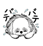 New B＆W シーズー犬  「いつも使う言葉」（個別スタンプ：12）