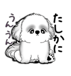 New B＆W シーズー犬  「いつも使う言葉」（個別スタンプ：15）