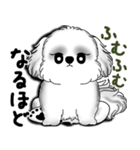 New B＆W シーズー犬  「いつも使う言葉」（個別スタンプ：16）