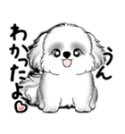 New B＆W シーズー犬  「いつも使う言葉」（個別スタンプ：17）