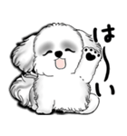 New B＆W シーズー犬  「いつも使う言葉」（個別スタンプ：18）