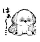 New B＆W シーズー犬  「いつも使う言葉」（個別スタンプ：20）