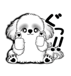New B＆W シーズー犬  「いつも使う言葉」（個別スタンプ：22）