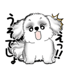 New B＆W シーズー犬  「いつも使う言葉」（個別スタンプ：23）