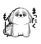 New B＆W シーズー犬  「いつも使う言葉」（個別スタンプ：24）