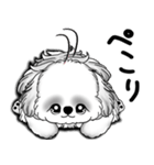 New B＆W シーズー犬  「いつも使う言葉」（個別スタンプ：25）