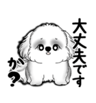 New B＆W シーズー犬  「いつも使う言葉」（個別スタンプ：26）