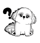 New B＆W シーズー犬  「いつも使う言葉」（個別スタンプ：27）