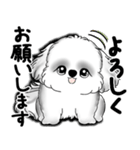 New B＆W シーズー犬  「いつも使う言葉」（個別スタンプ：29）