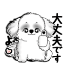 New B＆W シーズー犬  「いつも使う言葉」（個別スタンプ：30）