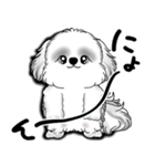New B＆W シーズー犬  「いつも使う言葉」（個別スタンプ：31）