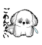 New B＆W シーズー犬  「いつも使う言葉」（個別スタンプ：32）