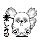 New B＆W シーズー犬  「いつも使う言葉」（個別スタンプ：34）