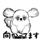 New B＆W シーズー犬  「いつも使う言葉」（個別スタンプ：35）