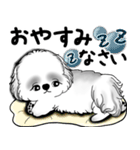 New B＆W シーズー犬  「いつも使う言葉」（個別スタンプ：37）