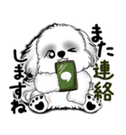 New B＆W シーズー犬  「いつも使う言葉」（個別スタンプ：38）
