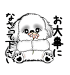 New B＆W シーズー犬  「いつも使う言葉」（個別スタンプ：40）