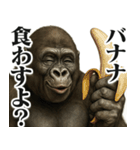 【すんごい使える】ゴリラ（個別スタンプ：3）