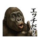 【すんごい使える】ゴリラ（個別スタンプ：5）