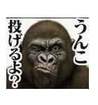 【すんごい使える】ゴリラ（個別スタンプ：6）