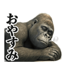 【すんごい使える】ゴリラ（個別スタンプ：10）