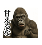 【すんごい使える】ゴリラ（個別スタンプ：20）