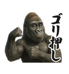【すんごい使える】ゴリラ（個別スタンプ：30）