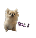 あたち、けむぴー♡（個別スタンプ：7）