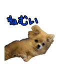 あたち、けむぴー♡（個別スタンプ：11）
