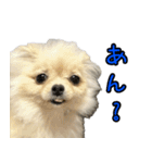 あたち、けむぴー♡（個別スタンプ：12）