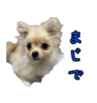あたち、けむぴー♡（個別スタンプ：13）