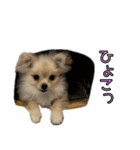 あたち、けむぴー♡（個別スタンプ：17）