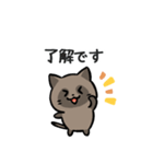 あなたのネコシリーズ3（個別スタンプ：6）