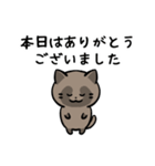 あなたのネコシリーズ3（個別スタンプ：27）