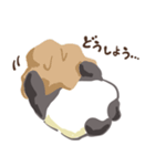 顔を見せてくれないパンダ（個別スタンプ：14）
