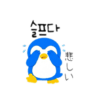 ペンギンカップル韓国語（個別スタンプ：13）