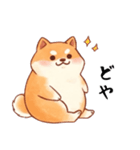 柴犬のスタンプ！！（個別スタンプ：3）