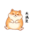 柴犬のスタンプ！！（個別スタンプ：7）