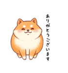 柴犬のスタンプ！！（個別スタンプ：8）