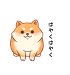 柴犬のスタンプ！！（個別スタンプ：10）