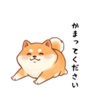 柴犬のスタンプ！！（個別スタンプ：12）