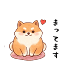 柴犬のスタンプ！！（個別スタンプ：13）