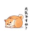 柴犬のスタンプ！！（個別スタンプ：15）