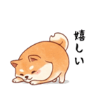 柴犬のスタンプ！！（個別スタンプ：17）