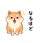 柴犬のスタンプ！！（個別スタンプ：18）