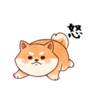 柴犬のスタンプ！！（個別スタンプ：19）