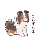 ゆるシェルティ2（個別スタンプ：2）