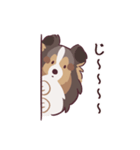 ゆるシェルティ2（個別スタンプ：8）