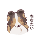 ゆるシェルティ2（個別スタンプ：15）
