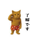 お猫様の吹き出しスタンプ（個別スタンプ：1）